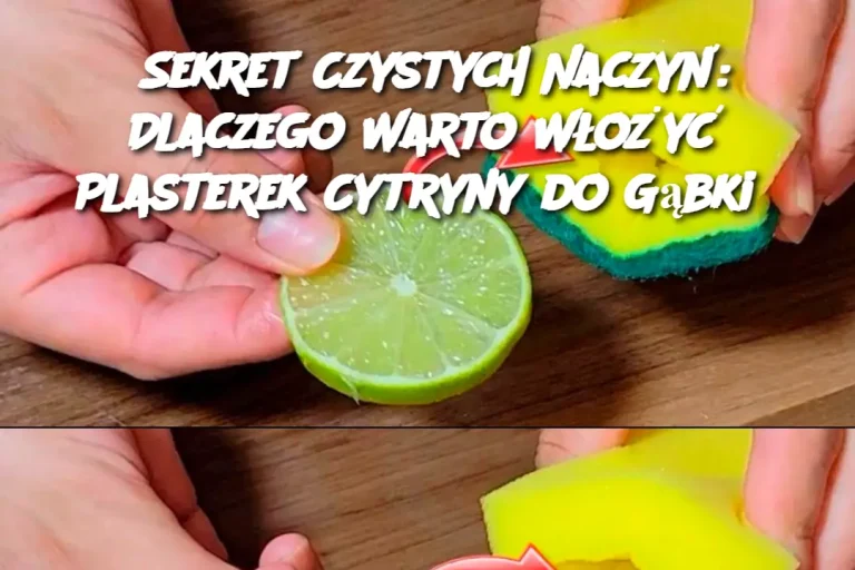 Sekret Czystych Naczyń: Dlaczego Warto Włożyć Plasterek Cytryny do Gąbki?