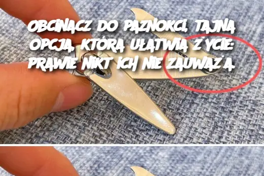 Obcinacz do paznokci, tajna opcja, która ułatwia życie: prawie nikt ich nie zauważa.