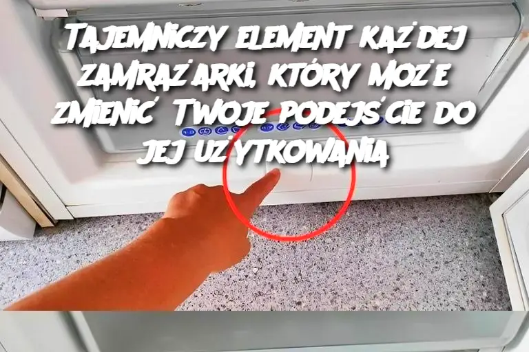 Tajemniczy element każdej zamrażarki, który może zmienić Twoje podejście do jej użytkowania