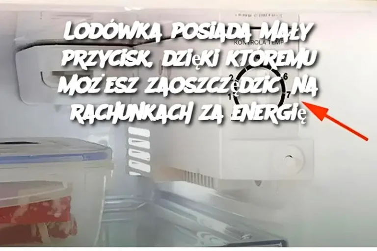 Lodówka posiada mały przycisk, dzięki któremu możesz zaoszczędzić na rachunkach za energię