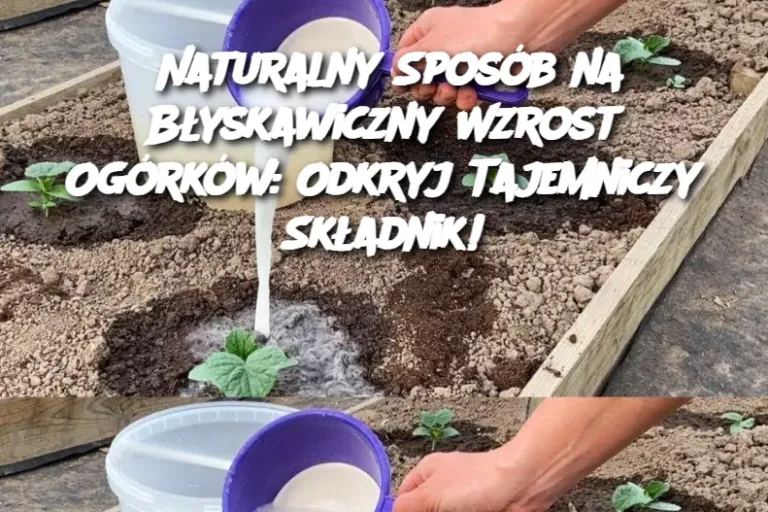 Tajemniczy składnik, który sprawi, że ogórki rosną błyskawicznie: Wypróbuj ten naturalny trik!