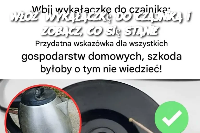 Włóż wykałaczkę do czajnika i zobacz, co się stanie