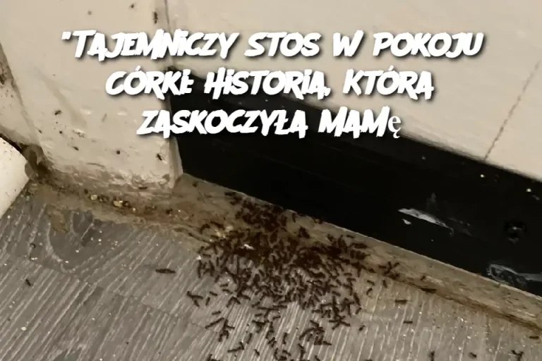 Każdego ranka matka odkrywała dziwny stos w pokoju swojej córki, aż pewnego dnia w końcu zdała sobie sprawę, że to…