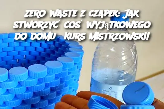 Zero waste z czapek: Jak stworzyć coś wyjątkowego do domu? Kurs mistrzowski!