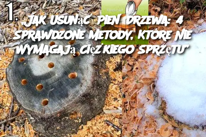 Jak pozbyć się pień drzewa: 4 skuteczne metody bez użycia ciężkiego sprzętu