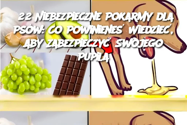 22 Pokarmy, które są trujące dla psów