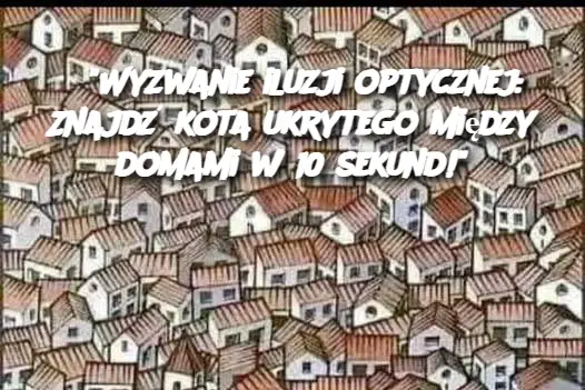 “Wyzwanie iluzji optycznej: Znajdź kota ukrytego między domami w 10 sekund!”