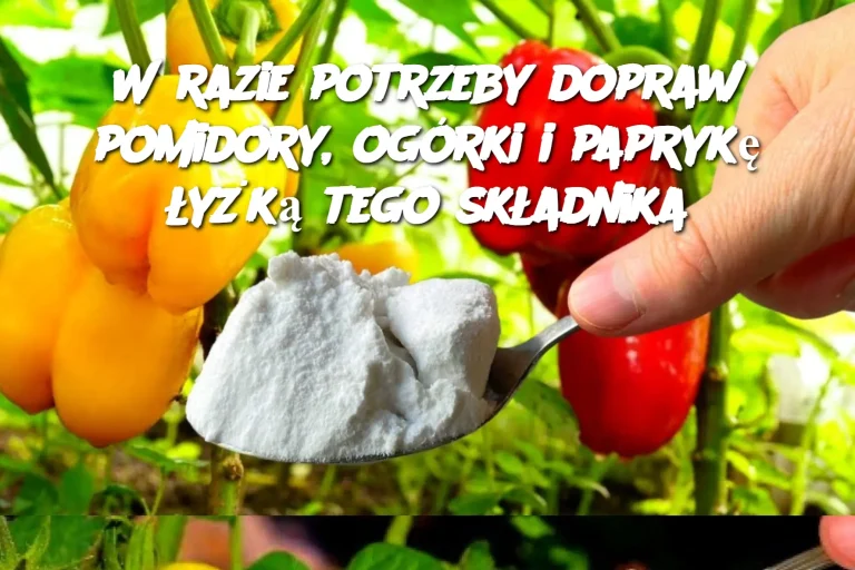 W razie potrzeby dopraw pomidory, ogórki i paprykę łyżką tego składnika