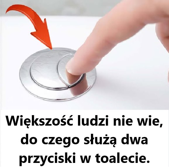 Do czego służą dwa przyciski toaletowe?