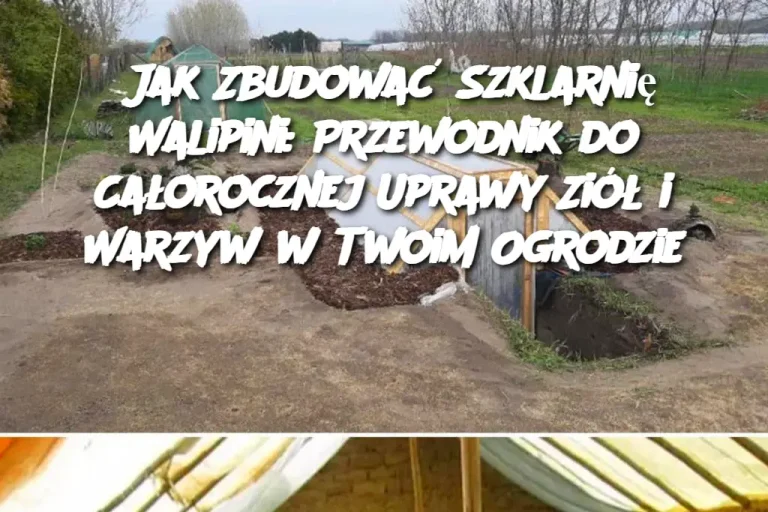 Jak Zbudować Szklarnię Walipini: Twój Klucz do Całorocznej Uprawy Żywności