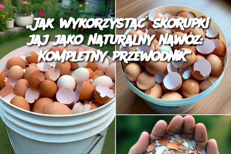 Oto prawidłowy sposób nawożenia roślin skorupkami jaj