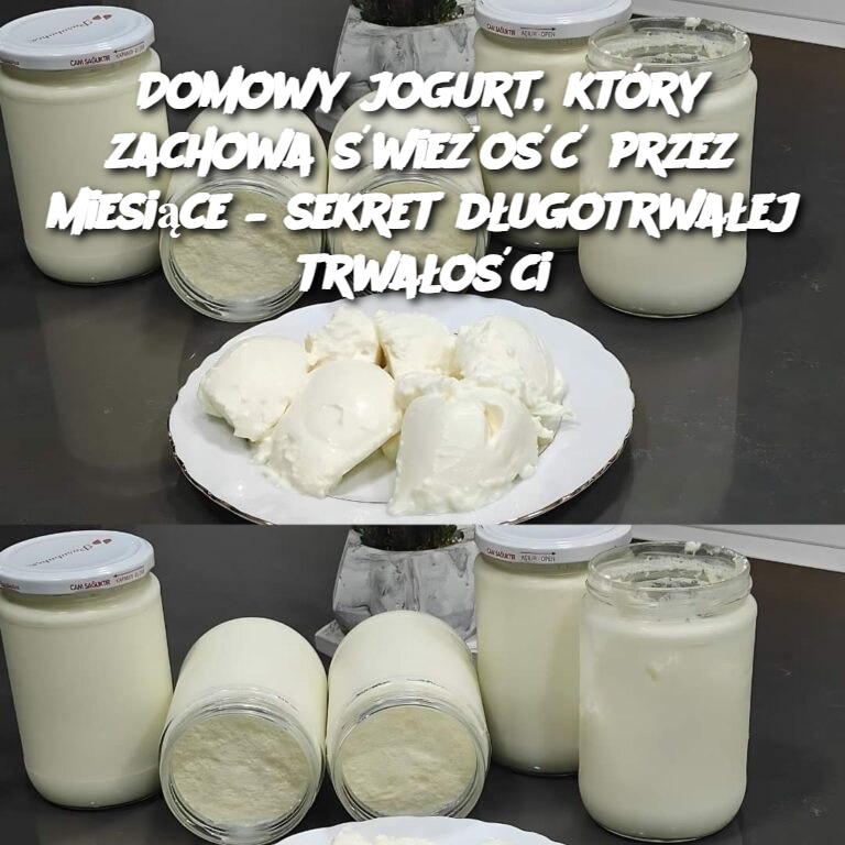 Domowy jogurt, który zachowa świeżość przez miesiące – sekret długotrwałej trwałości