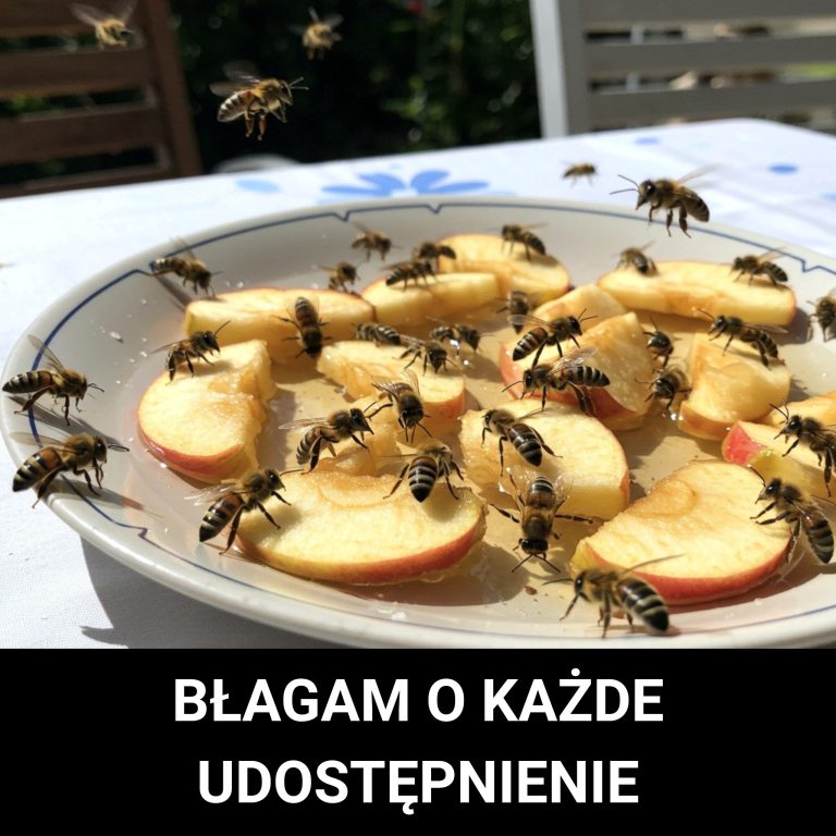 Tylko jedna łyżka wody... A może uratować całe życie.”