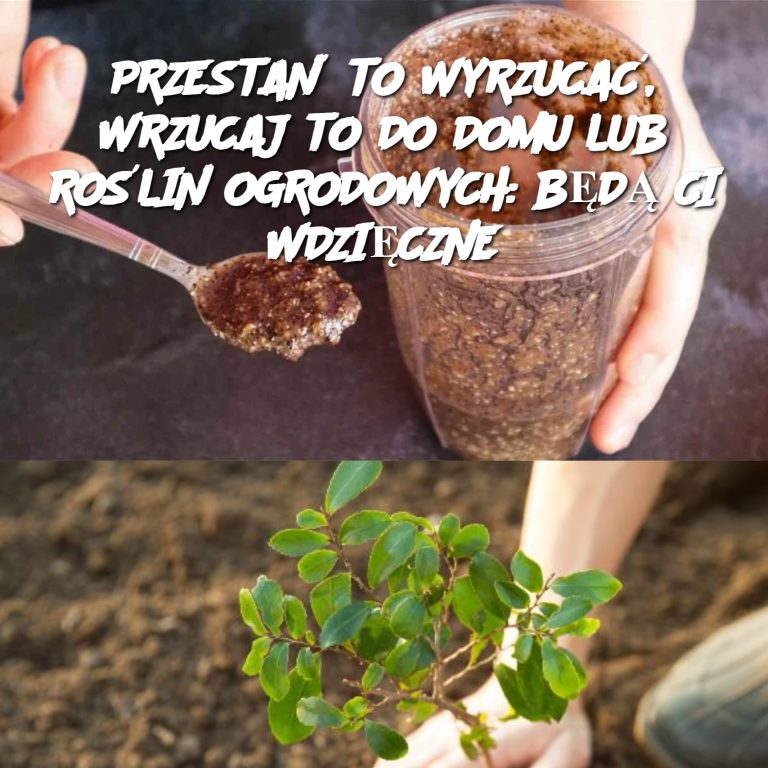 PRZESTAŃ TO WYRZUCAĆ, WRZUCAJ TO DO DOMU LUB ROŚLIN OGRODOWYCH: BĘDĄ CI WDZIĘCZNE