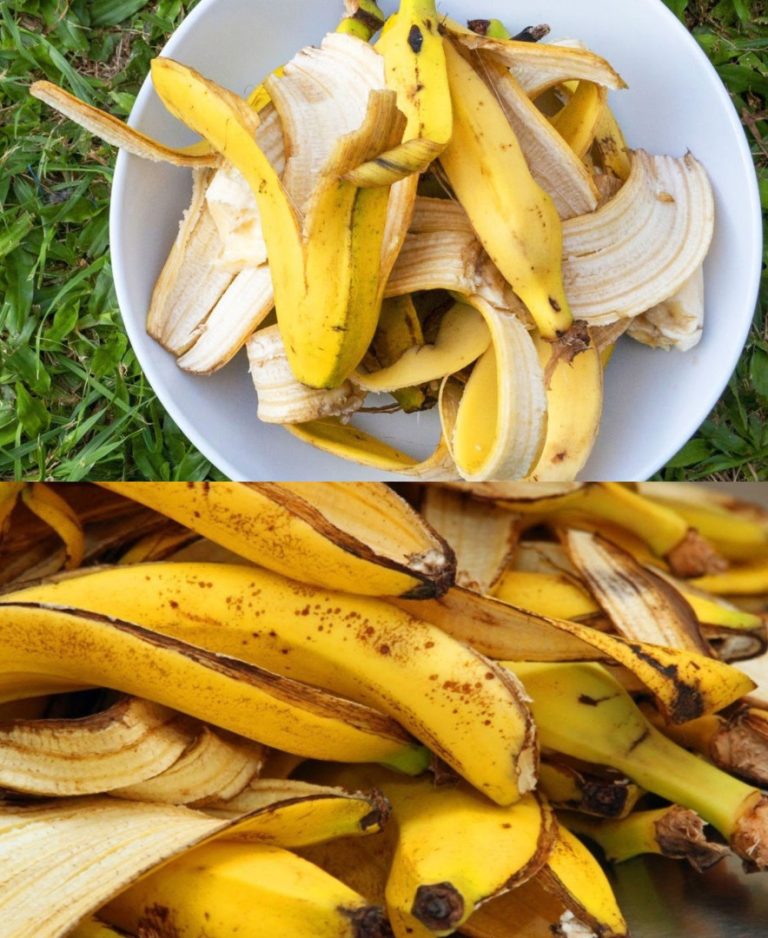 Wyrzucanie skórek od banana to marnotrawstwo: dla gospodyń domowych są one warte tyle samo, co złoto | Używaj ich w ten sposób