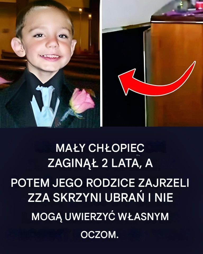 Policji nie udało się znaleźć chłopca, ale dwa lata później jego rodzice zauważyli coś dziwnego za komodą.