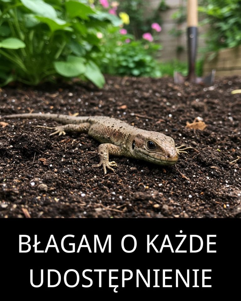 Vous avez vu un « reptile dégoûtant ».
