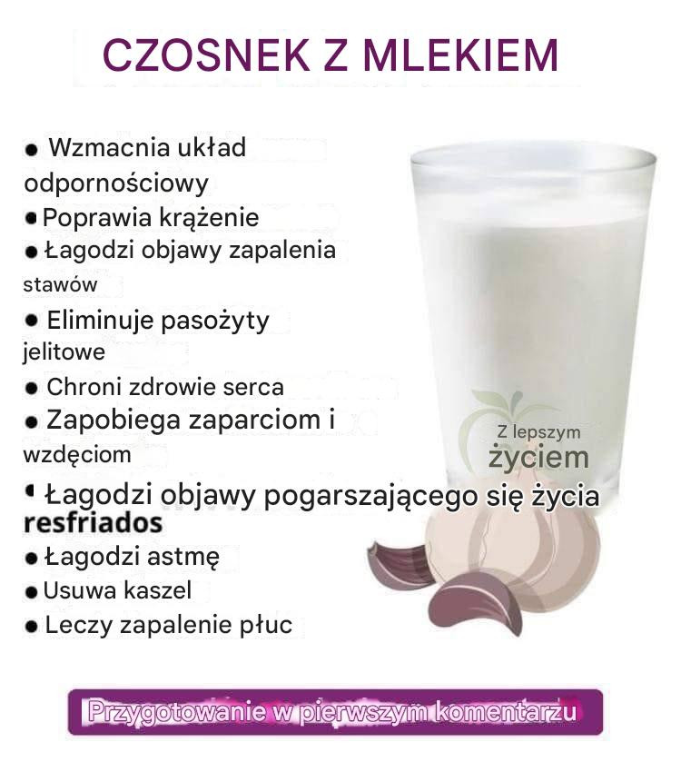 Dowiedz się, jak zrobić mleko czosnkowe i skorzystaj ze wszystkich jego dobrodziejstw.