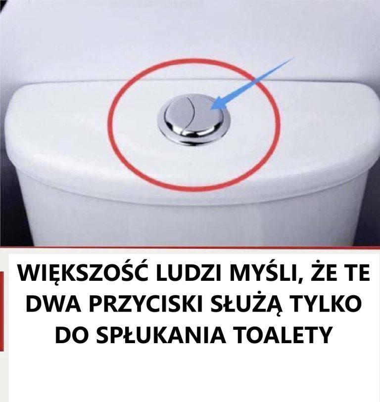 Wiele osób uważa, że ​​te dwa przyciski służą tylko do spłukiwania wody w toalecie
