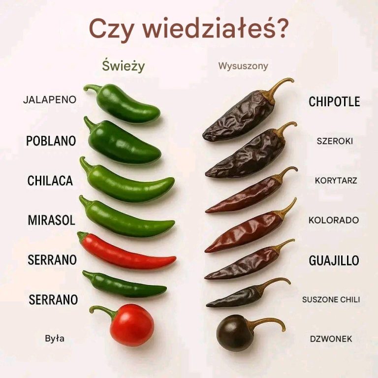 Świeże czy suszone? Dlaczego to zmienia wszystko!
